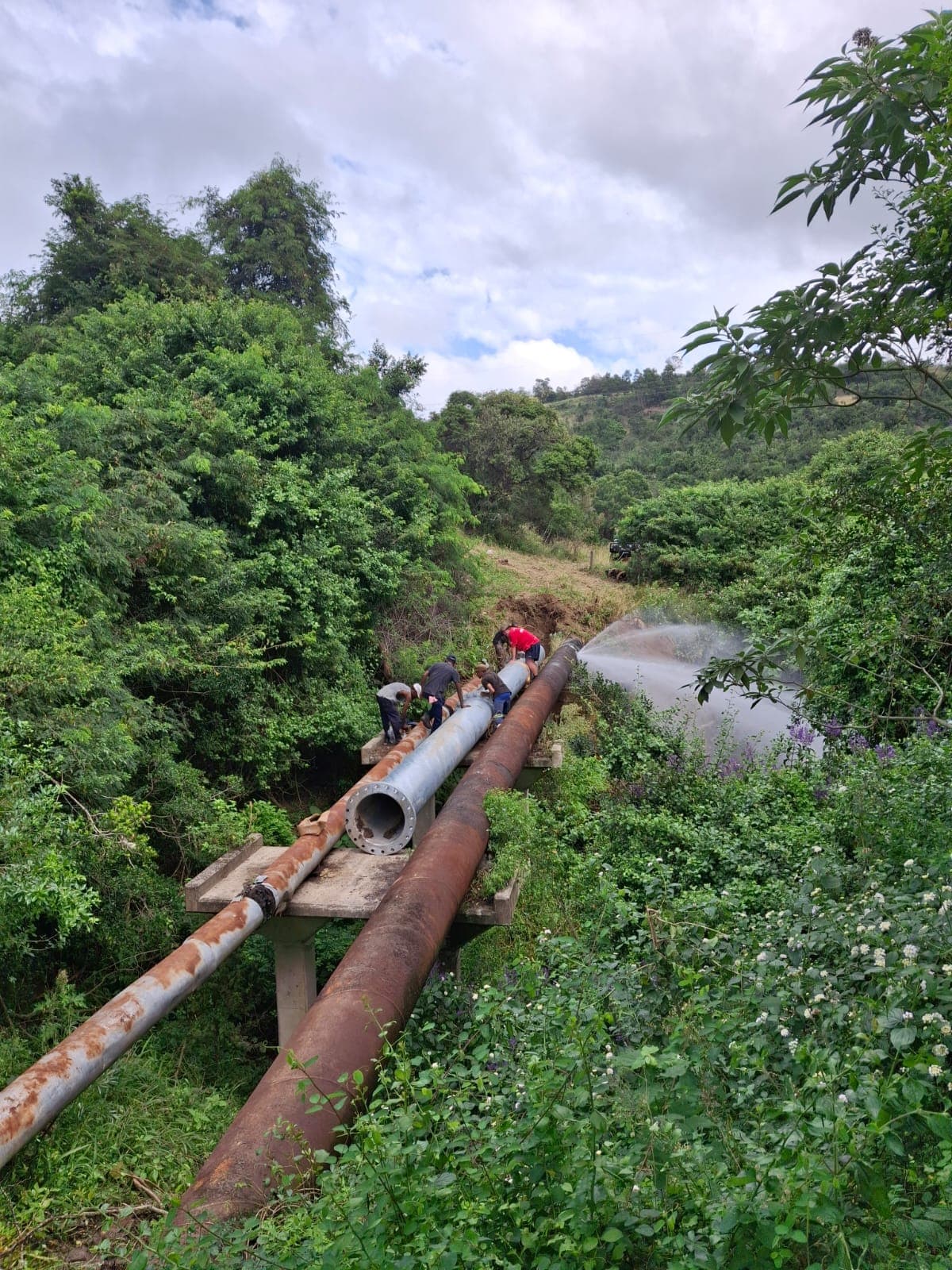 Amatola Water – Nahoon Dam Pipe Repairs - Sub-surface pipeline alignment